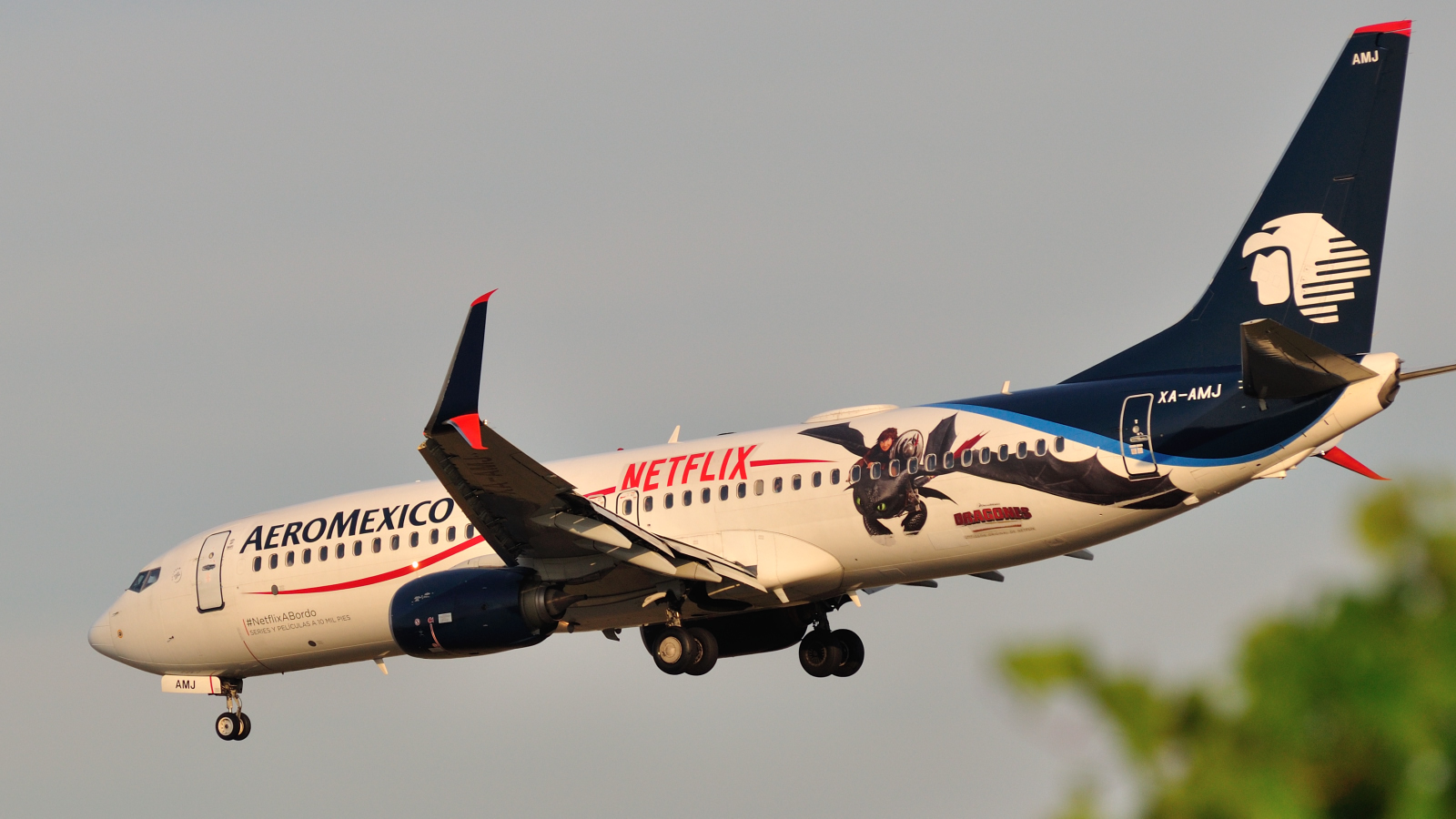 XA-AMJ · Boeing 737-852(WL) · (YUL / CYUL)