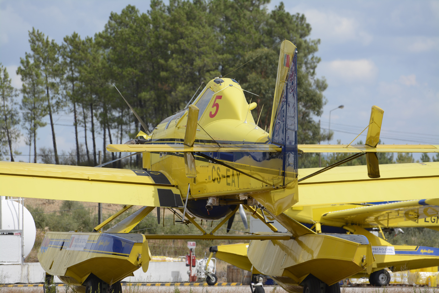 CS-EAY · Air Tractor AT-802F Fire Boss · (LPPN)