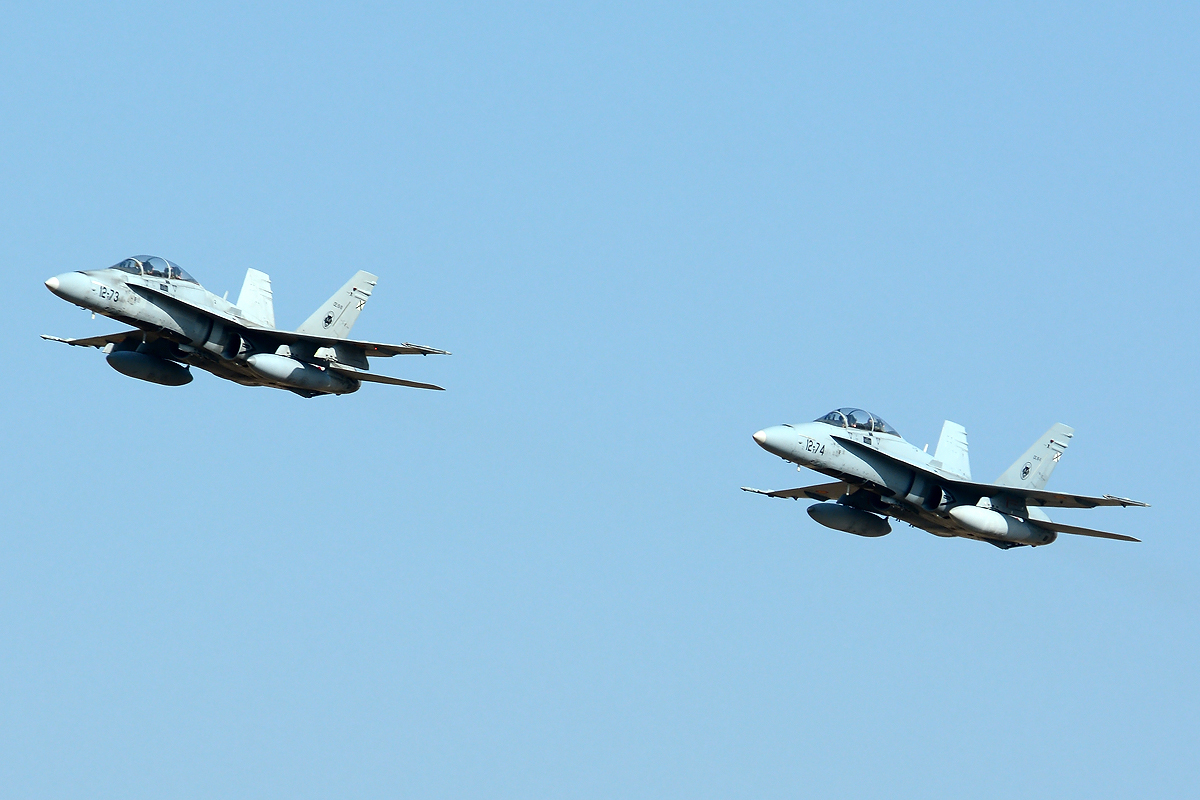 CE.15-11 · McDonnell Douglas EF-18B Hornet · (TOJ / LETO)