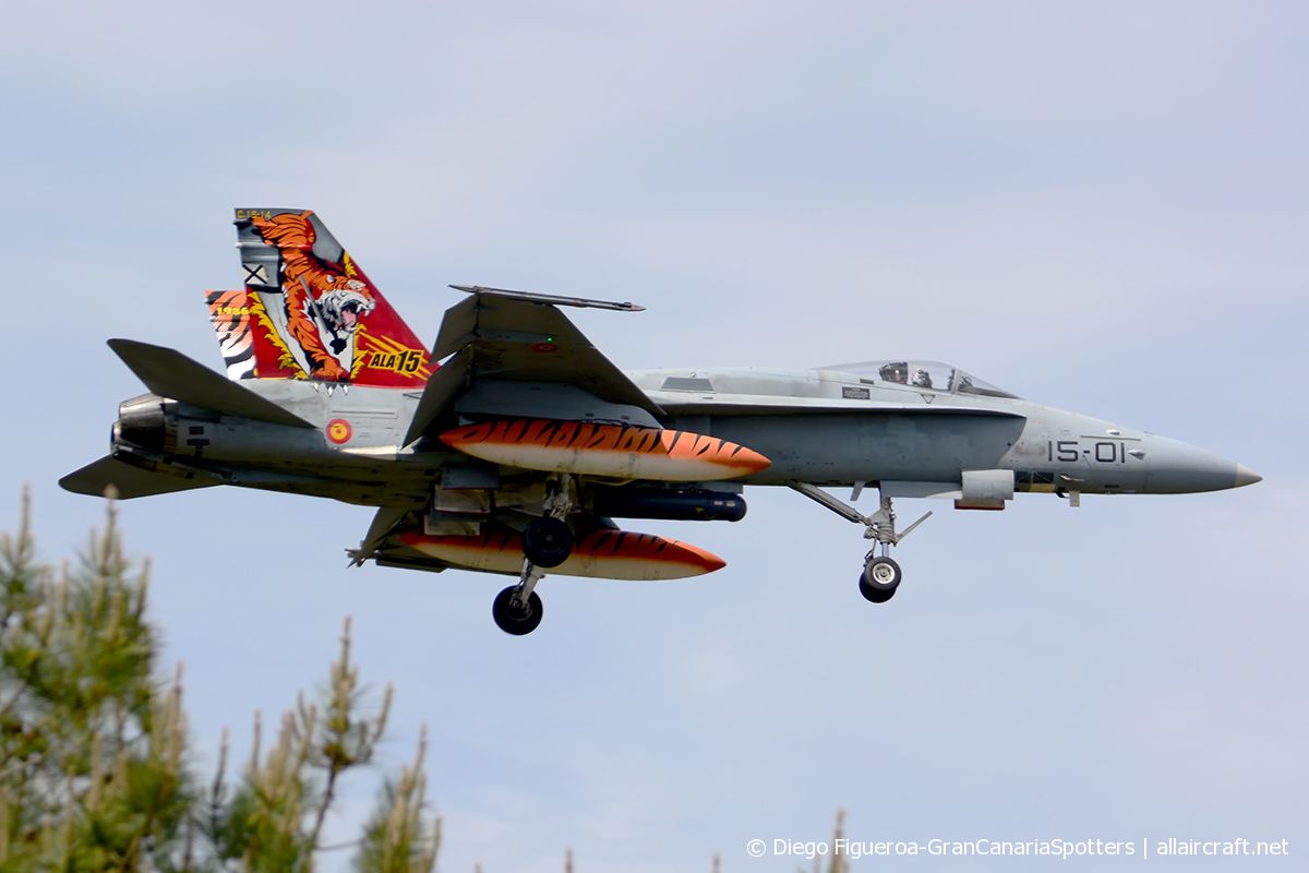C.15-14 · McDonnell Douglas EF-18A Hornet · (LFBM)
