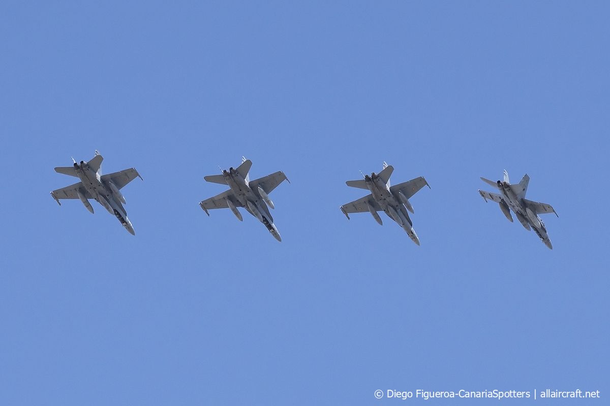CE.15-11 · McDonnell Douglas EF-18B Hornet · (LPA / GCLP)