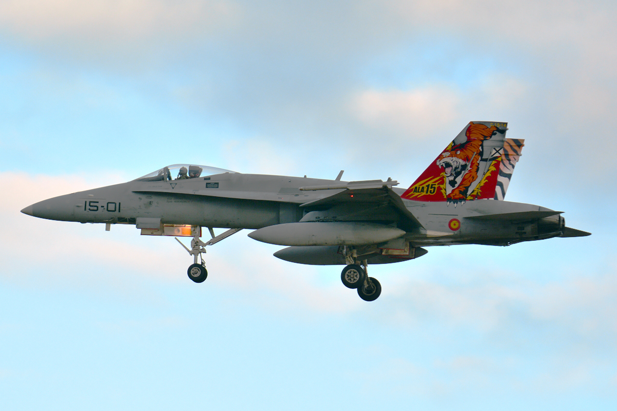 C.15-14 · McDonnell Douglas EF-18A Hornet · (LPA / GCLP)