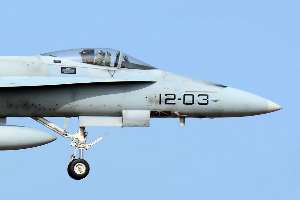 C.15-45 · McDonnell Douglas EF-18A Hornet · (LPA / GCLP)