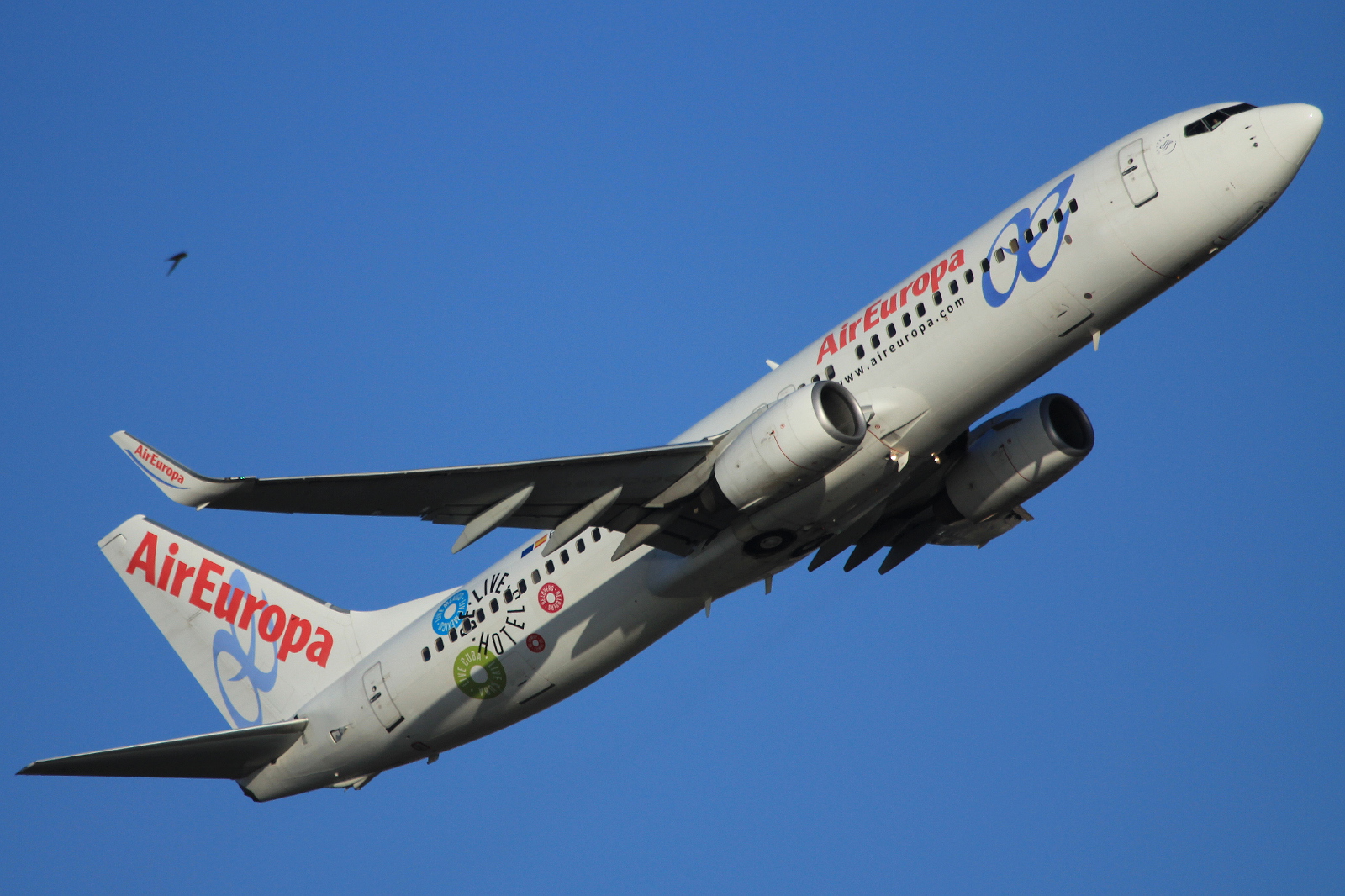 EC-JAP · Boeing 737-85P(WL) · (FCO / LIRF)