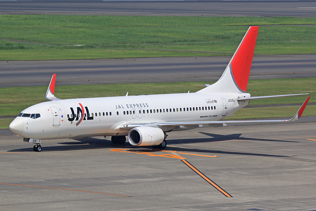JA319J · Boeing 737-846(WL) · (HND / RJTT)