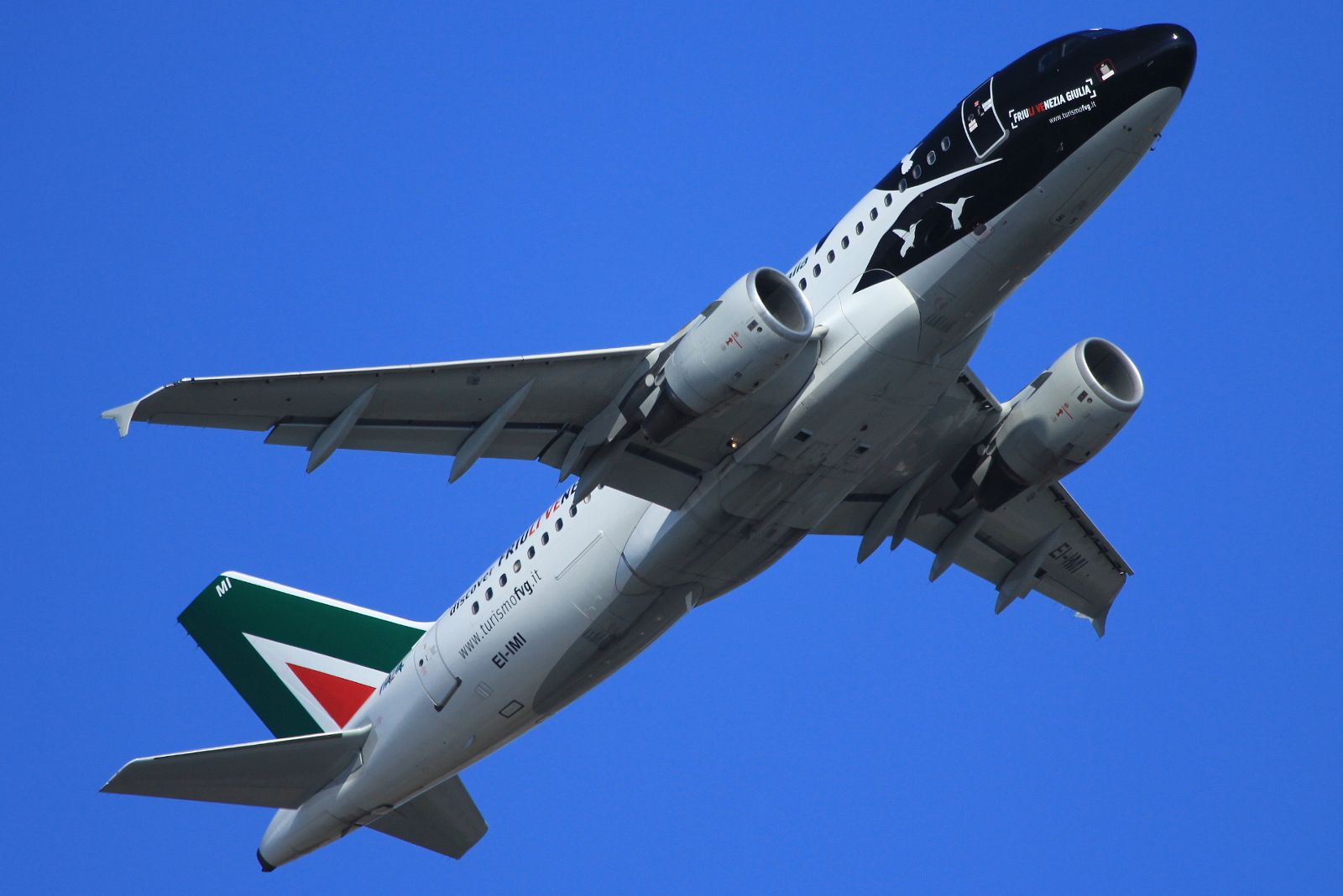 EI-IMI · Airbus A319-112 · (FCO / LIRF)