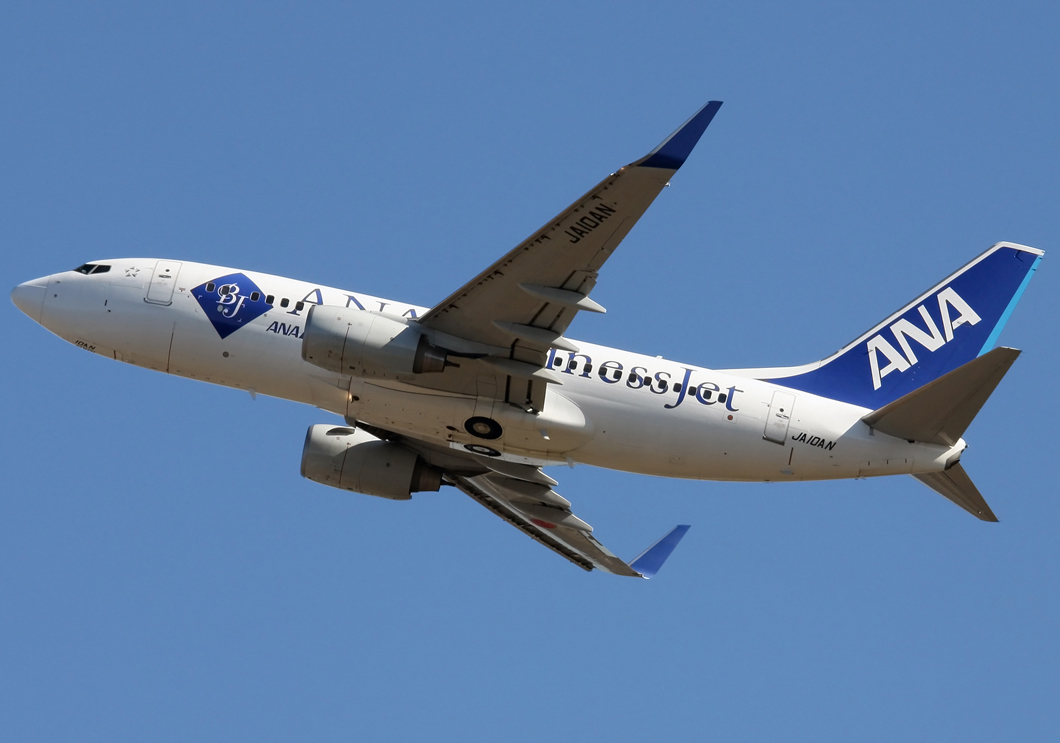 JA10AN · Boeing 737-781/ER · (NRT / RJAA)