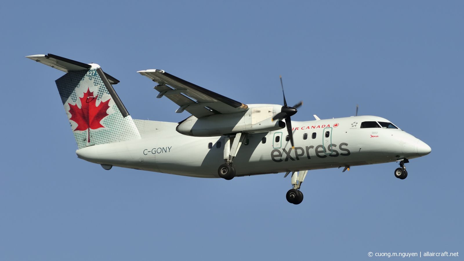 C-GONY · Bombardier Dash 8-102 · (YUL / CYUL)
