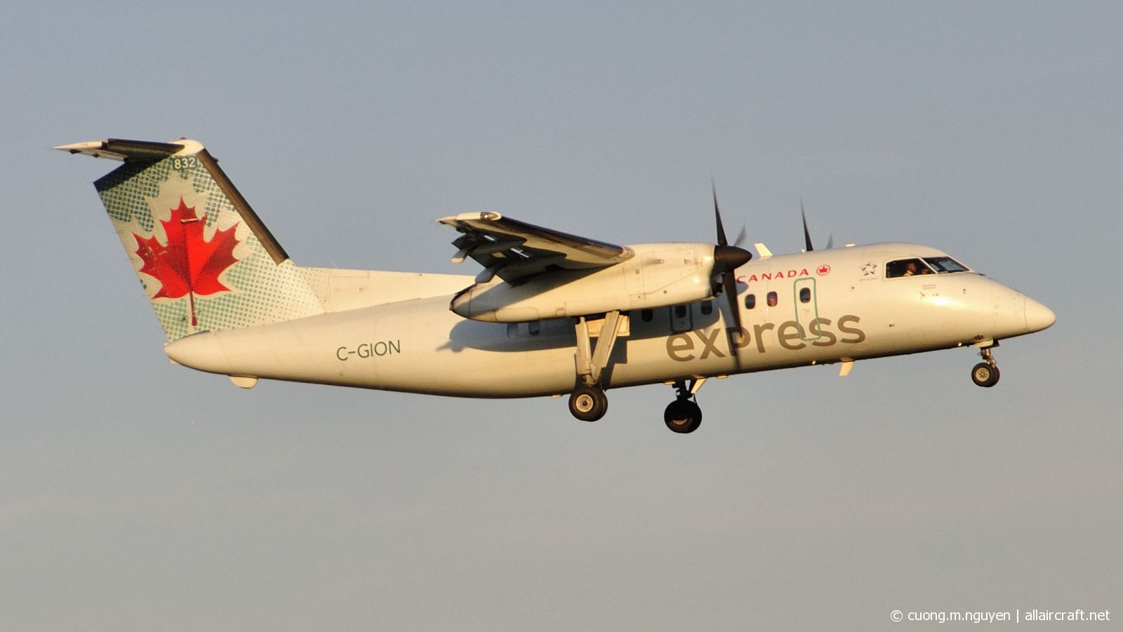 C-GION · Bombardier Dash 8-102 · (YUL / CYUL)