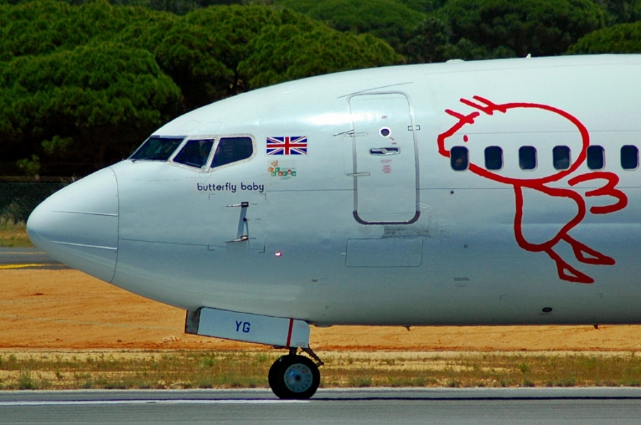 G-TOYG · Boeing 737-36N · (FAO / LPFR)