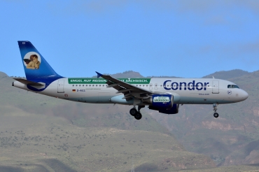 D-AICC
