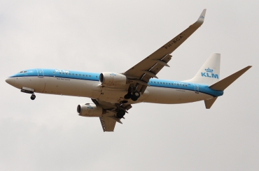 PH-BGA