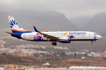 D-ASXG