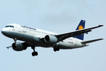 D-AIQF