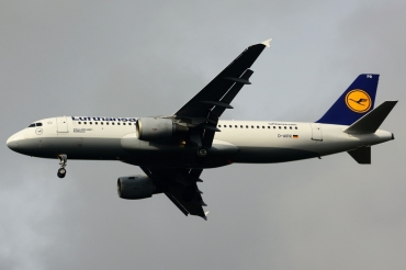 D-AIPR