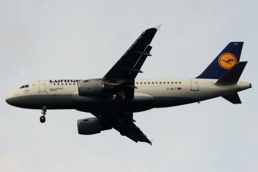 D-AILT