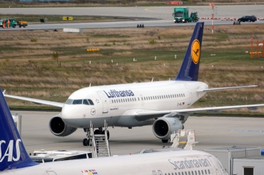 D-AILI