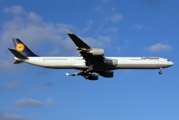 D-AIHL