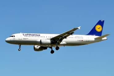 D-AIPR