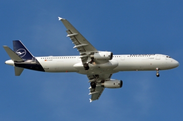 D-AISP