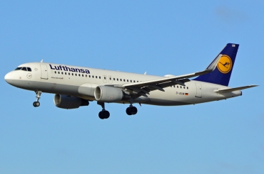 D-AIUM