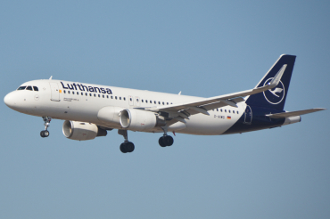 D-AIWG