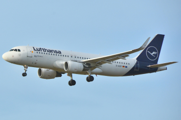 D-AIZP