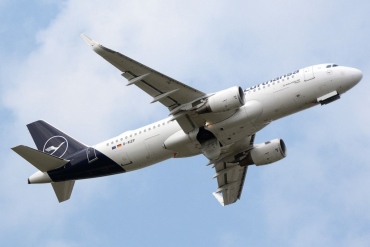 D-AIZP