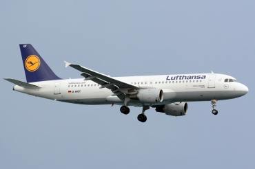 D-AIQT