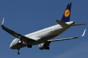 D-AIUT