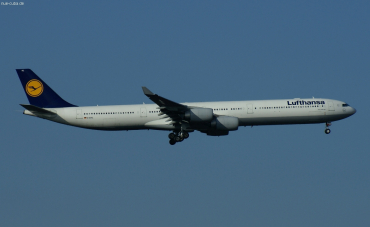 D-AIHL · Airbus A340-642 · (FRA / EDDF)