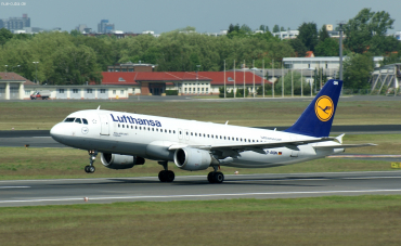 D-AIQN