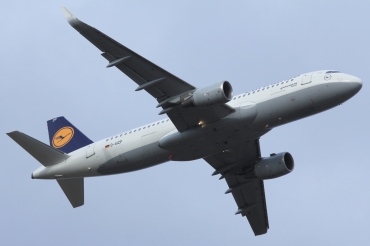D-AIZP