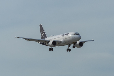 D-AILW