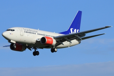LN-RPT