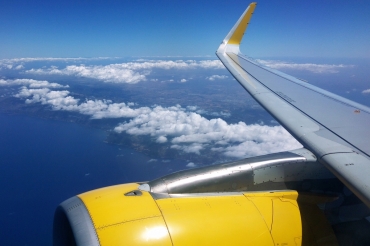 EC-LVO