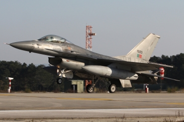 15123 · General Dynamics F-16AM · (LPMR)