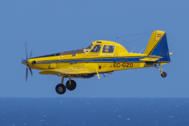 EC-GZO
