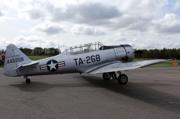 LN-TEX