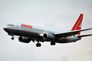 OE-LNK