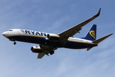 EI-DHB