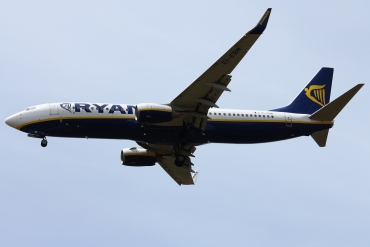 EI-EBM