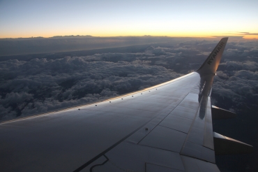 EI-DLY
