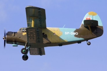SP-DNO