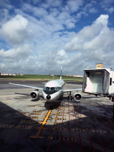 EI-DVM