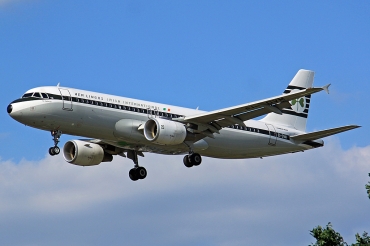 EI-DVM