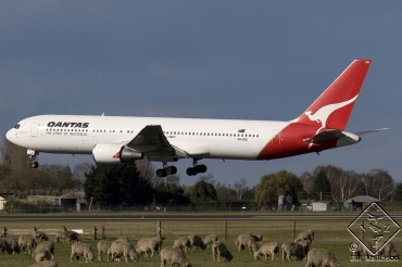 VH-OGG