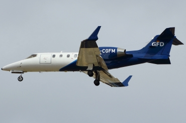 D-CGFM