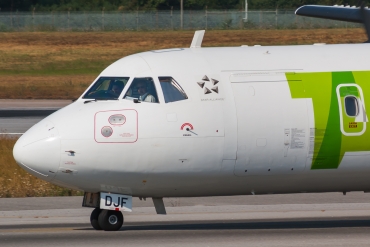 CS-DJF