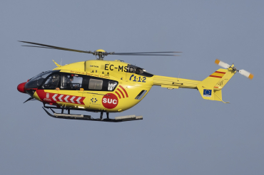 EC-MSD